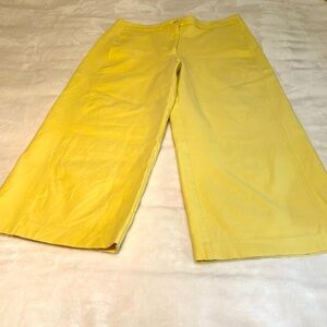 ANN TAYLOR. High Rise Wide Leg Yellow Pants.